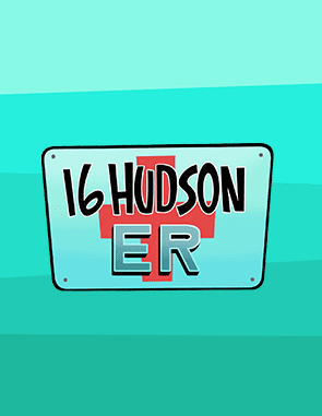 16 Hudson ER